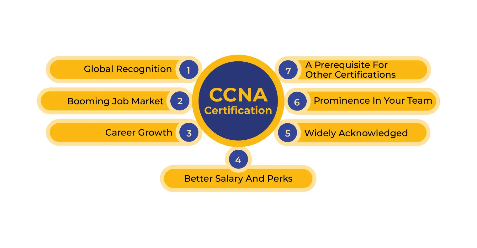 Diagram Shows the benefits of CCNA Certification
